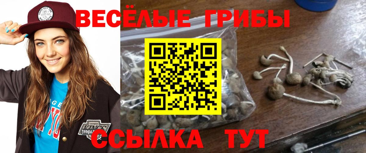 Псилоцибиновые грибы Magic Shrooms  Вход с VPN  Псилоцибиновые грибы MAGIC MUSHROOMS  Феодосия 